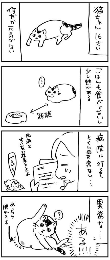 肛門腺が貼れた猫の話